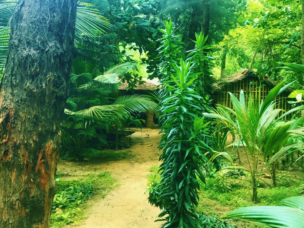 Nirvana Nature Otel Gokarna  Dış mekan fotoğraf