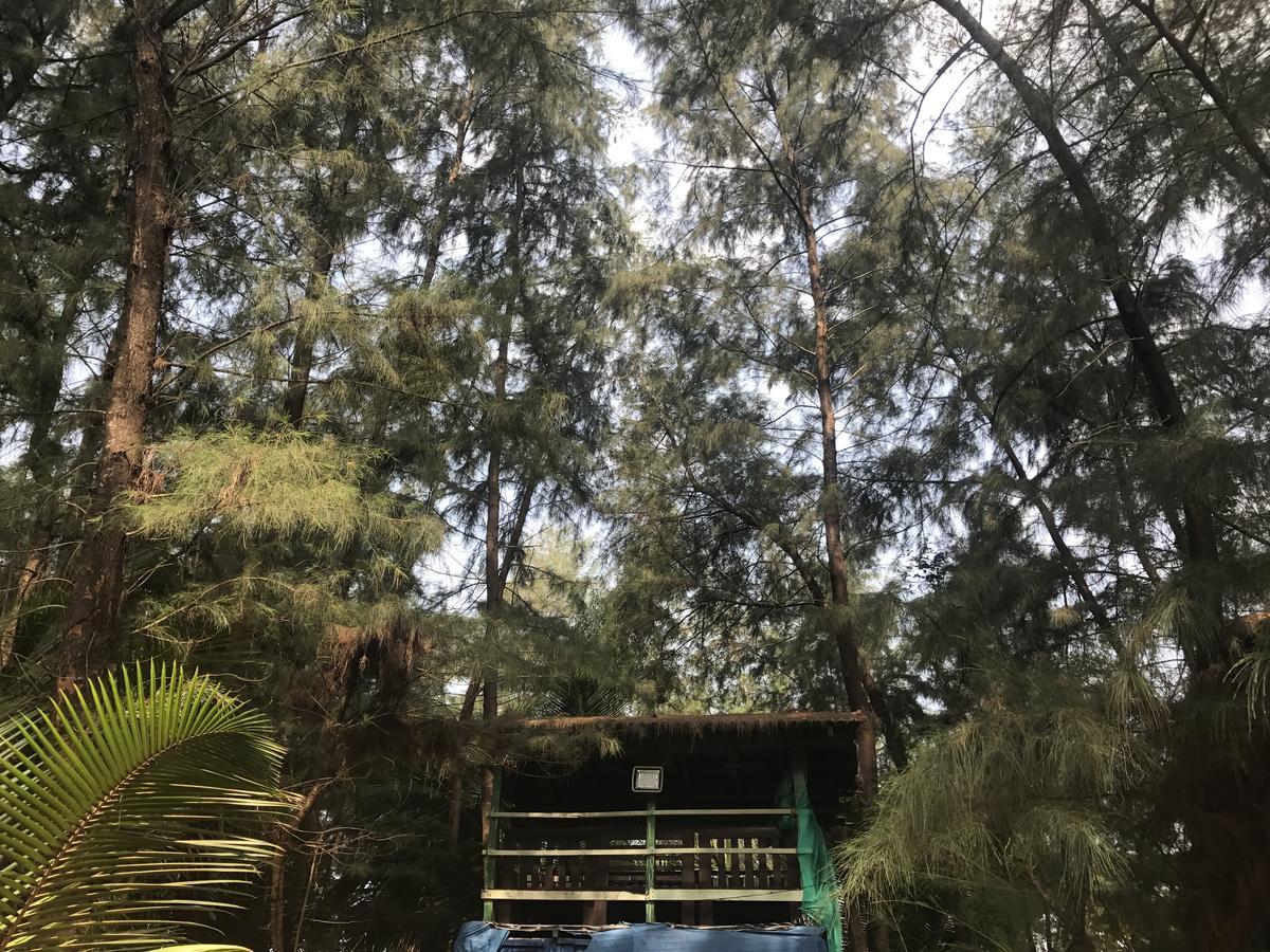 Nirvana Nature Otel Gokarna  Dış mekan fotoğraf